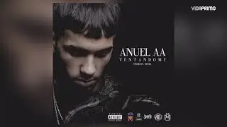 Anuel AA (tentándome