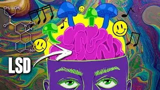 COMO AGE O LSD NO CÉREBRO?