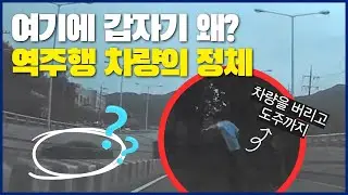 여기에 갑자기 왜? 역주행 차량의 정체