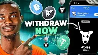 $DOGS Withdrawal | How to Claim $DOGS Airdrop Token to ByBit | OKX