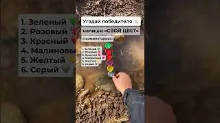 Угадай ПОБЕДИТЕЛЯ, напиши его ЦВЕТ в комментариях 💚🩷❤️💛🩶