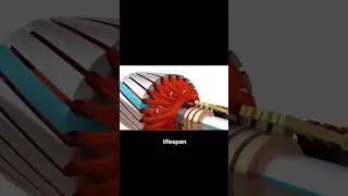Brushed motor vs Brushless motor