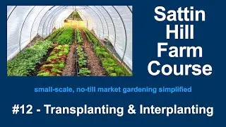 Sattin Hill Farm Course #12 - Transplanting & Interplanting