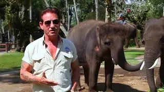 MASON ELEPHANT PARK AND LODGE