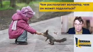 О социальном волонтерстве. Учебный онлайн-курс «Организатор социального волонтерства»