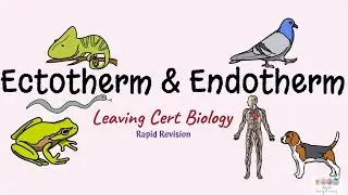 Ectotherm and Endotherm-Biology Bugbears-Leaving Cert BIology