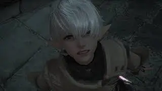 [PC] FFXIV 5.5 - I... am not...ALPHINAUD! **minor spoiler**