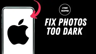 How to Fix iPhone Photos Too Dark Issue