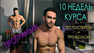 10 НЕДЕЛЬ на курсе. Эффекты тренболона, побочки, программа тренировок.