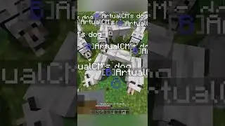 The Funniest Way To Get Justice in Minecraft