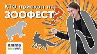 КТО ПРИЕХАЛ НА ЗООФЕСТ? САМЫЕ НЕОБЫЧНЫЕ ДОМАШНИЕ ПИТОМЦЫ И ЗНАКОМСТВО С НОВЫМИ ПОРОДАМИ