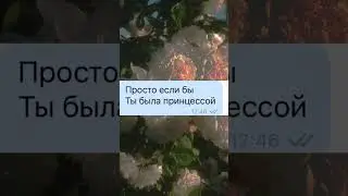 БЕСИМ ЛП 1 ЧАСТЬ ._.ДО КОНЦА 😅😂🤣#бесимся #рекомендации #подпишись #trend #переписка