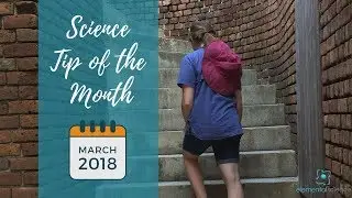 How we plan science for our next year of homeschooling (Science Tip of the Month)