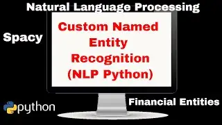 Custom Named Entity Recognition using Python