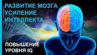 ☯ Программа для Развития Мозга ☯ Усиления Интеллекта ☯ Повышения IQ ☯