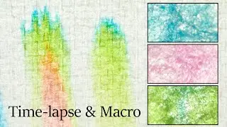 Rainbow Paper - Marker Pen Chromatography