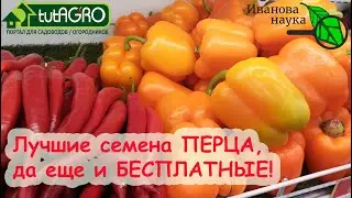 МНЕНИЕ ЭКСПЕРТА: получите ОТЛИЧНЫЕ СЕМЕНА ПЕРЦА БЕСПЛАТНО! И будьте сами себе селекционером.