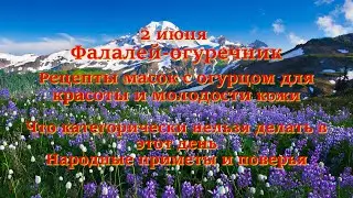 2 июня – Фалалей огуречник. Рецепты масок с огурцом для красоты и молодости кожи. Приметы и запреты.