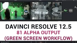 DaVinci Resolve 12.5 - 81 Alpha Output (Green Screen Workflow)