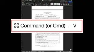 How to Consolidate (Copy & Paste) Multiple Documents into One | Quick Word Tutorial