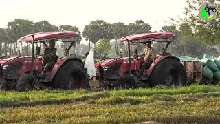 Tractor Transport rice on the mud​ way | ត្រាក់ទ័រគូបូតាM6040SU ដឹកស្រូវជាប់ផុង