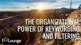 The Organizational Power of Keywording and Filtering | Lightroom Crash Course