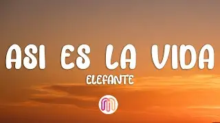 Elefante - Asi es la vida (Letra / Lyrics)