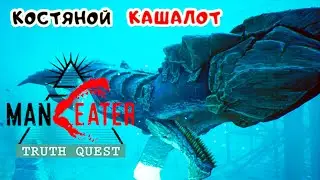 ManEater ЗОВ ПРАВДЫ #4 ➤ Кашалот КОСТЬ и СНАЙПЕРСКИЙ ВЫСТРЕЛ