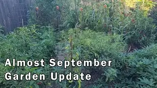 Almost September Gardening Update and Tour