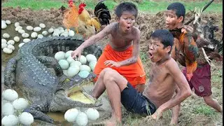 Chicken eating, cooking with egg crocodile eat | Primitive technology,