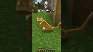 goofy ahh cat in minecraft 🐱💀