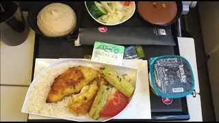 TURKISH AIRLINES ECONOMY CLASS | ISTANBUL - WASHINGTON DC | AIRBUS A330-300