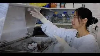 ADRI | Inside our Lab