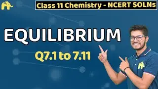 Equilibrium Class 11 Chemistry | Chapter 7 Ncert Solutions Questions 1-11