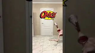 Siren Head Is chasing me