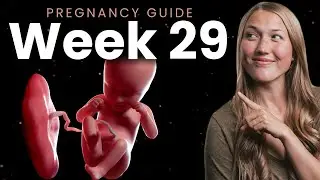 29 Weeks Pregnant | Week By Week Pregnancy