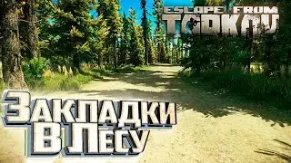 Знакомство, Вшивость и Запасливый - День 2 - Escape From Tarkov Развитие с Нуля