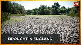 Drought Officially Declared Across Eight Areas Of England | Heatwave Grips UK