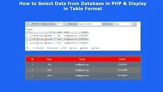 How to Fetch data from database using PHP | Display data from MySQL Database using PHP | E-CODEC