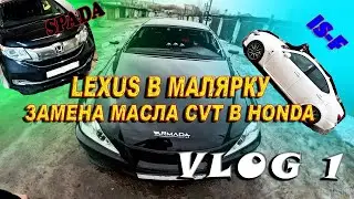 ПОКРАСКА КРЫШИ LEXUS IS350  / ЗАМЕНА МАСЛА CVT HONDA SPADA RP3 / Влог 1