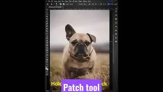 patch tool in photoshop