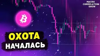 БИТКОИН и ОХОТА ЗА ЛИКВИДНОСТЬЮ #ДЕНЬГИБиткоинИнвестор