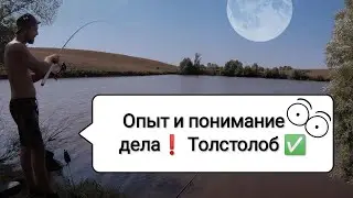 Ловля толстолоба на поплавок! Рыбалка на толстолоба.