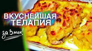 ФИЛЕ ТИЛАПИИ ПОД СЫРОМ ЗА 3 МИНУТЫ! ПРИГОТОВИТ ДАЖЕ РЕБЕНОК! ВКУСНОЕ БЛЮДО К ОБЕДУ ОТ РЫБНОЙ ТОЧКИ