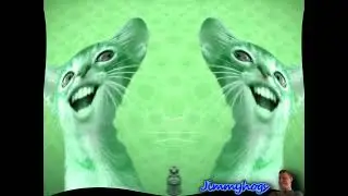 Preview 2 Numa Cat With 6 Effects Exo^4