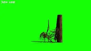 Green screen. Tree, wood destruction. Crush/green screen falling tree/green screen moving tree