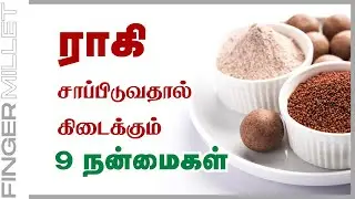 Amazing Health Benefits Of Ragi (Finger Millet)  | 24 Tamil Health