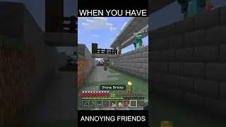 When You Have Annoying Friends In Minecraft