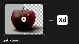 How to Import a Transparent Video in Adobe Xd | QuickJam