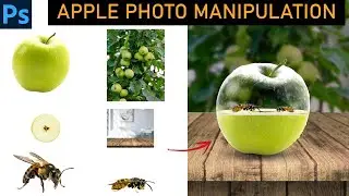 A Photoshop Tale of Transparent Apple Manipulation with Honeybees! 🐝🍏